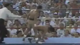 WOW!! WHAT A KNOCKOUT | Hector Camacho vs Rafael Limon, Full HD Highlights