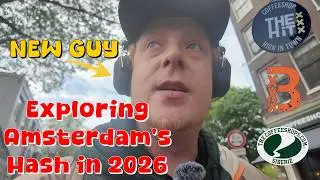 Exploring Amsterdam's Hash in 2026 - Coffeeshop The Hit / Balou / Siberie