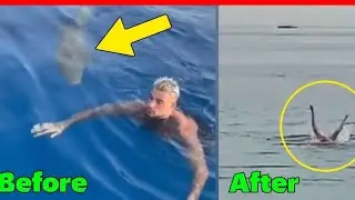 shark kills a young Russian tourist in Egypt 2023