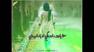 Sta Yadona Rawarigi Awo Baran De | Pashto New Song | [ Slow + Reverb ]