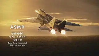 Don't think, just do! F/A-18 ASMR Dagger 1-4 Sounds | Top Gun Maverick