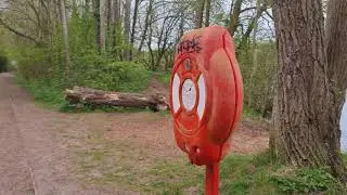 A walk through Charnwood Water