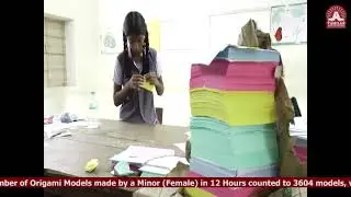 Greatest Number of Origami Models made by a Minor (Female) in 12 Hours - 160505TBR