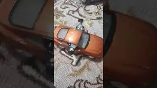 ЖИЗА 2