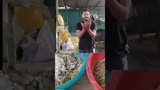 Milk Double Desi Formula 🥛🔥 | Cow Buffalo Milk Increase | Dairy Farming Tips #shorts