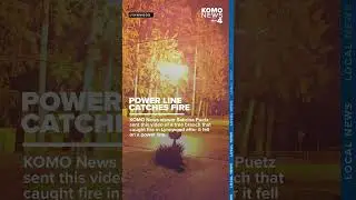 VIDEO: Tree branch falls on power line, catches fire during #bombcyclone