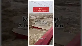 Kosi Barrage on High Alert | River Flow Crosses Danger Level 🚨 #bihar #river #disaster #shorts