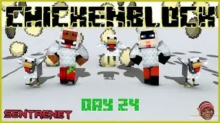 ChickenBlock Day 24