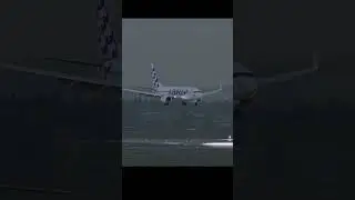 Rainy Plane Spotting in Aberdeen 🇬🇧 | Boeing 737-800 Landing | XP12