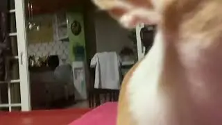 Borkers