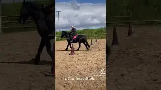 Contessa &ndash; Friesian Mare Training in the Sand School  Real Life Horsework & Calm Connection