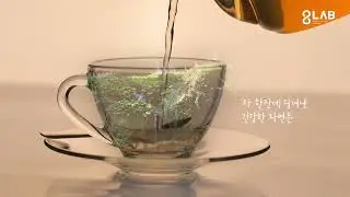 매일 또렷해지는 티프레쉬 청명차ㅣ당신 연구소 8LAB