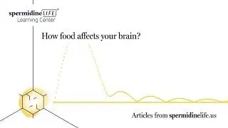 How Food Affects Your Brain | Best Foods for Your Brain | Explained |