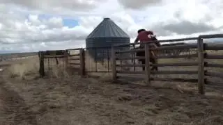 Barbie - gate work