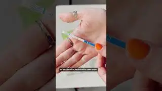 What lifesaving fentanyl test strips are and how to use them. #shorts