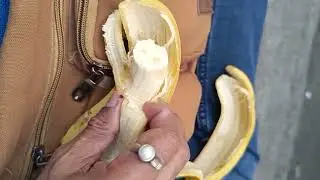 #2 Bananas can support weight loss as part of a balanced diet#FORT MUMBAI#2.34 PM#8/1/2026