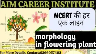 morphology Of flowering plant CompleteNCERTBiology| Live  Class #Biology#
