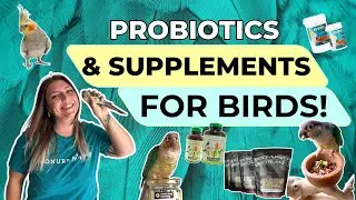 Supplements for birds!