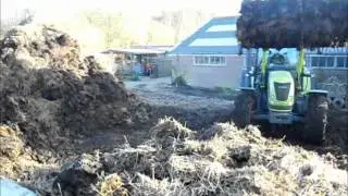loading dung with claas arion 620 and spreading with fendt farmer turbomatik 309LS