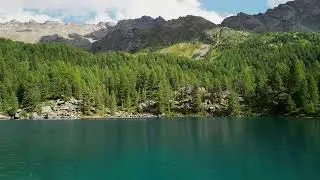 Tranquil Lake &ndash; Serenity by the Forest and Mountains