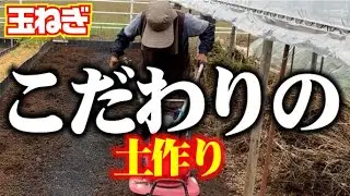 【おいしい玉ねぎが出来そうな予感♥】【3回でも4回でも耕します】大雑把な所もあるのがひろちゃん流【玉ねぎ】【ソニック】【土作り】