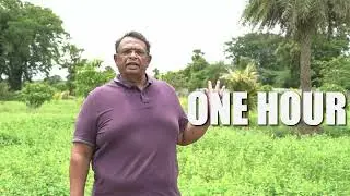 Own nature’s masterpiece – premium managed farmland near Chennai ₹40 Lakhs.