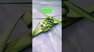 কি সুন্দর পাতার হেলিকপ্টার #mmo #amazon #love #viralvideo