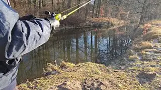 Graben angeln auf Friedfisch und Barsch ein kurzer Versuch #fishing #fishingvideo #baitcaster 