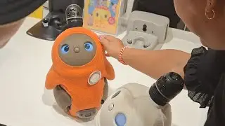 Piccolo Robot Cerca Coccole: Vuole Stare in Braccio!