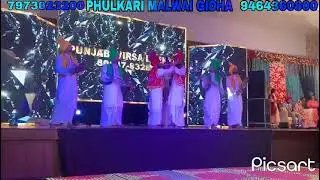 punjabi folk artist
