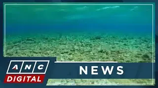PH Coast guard: No more signs of life found on Rozul reef, Escoda shoal | ANC