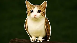 MEOWL &ndash; ОТКУДА МЕМ?