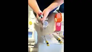 Koala PCR Tests at Port Stephens Koala Hospital