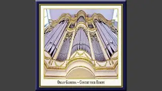 30 Spielstucke fur die Kleinorgel, Op. 18, No. 1: No. 1. Intonation - No. 2. Concertino - No....