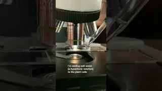 Hypotonic and Hypertonic effect on Plant cell