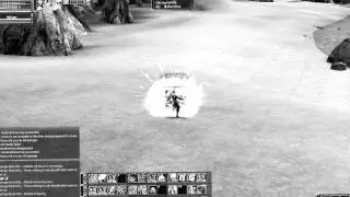 L2 mage PvP