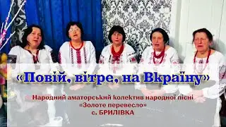 Повій, вітре, на Вкраїну🌬 «Золоте перевесло», село Брилівка