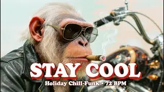 Desert Holiday Chill-Funk Guitar Instrumental #holidayvibes