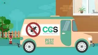 Pest control Animation