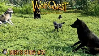 Ruby's Story #37 - Horse Mountain Pack - WolfQuest Saga