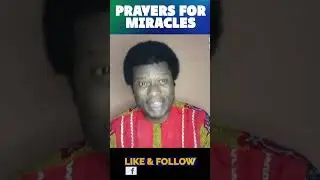 Prophetic Prayer For The Day #reels #deliveranceprayers #declaration #prophecy