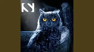 Hooting Owls