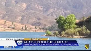 Fish and Wildlife add artificial habitat to Castaic Lake
