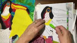 Toucan Collage