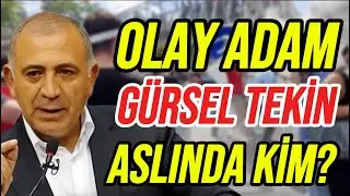 Gürsel Tekin: İş Adamı mı Siyasetçi mi?