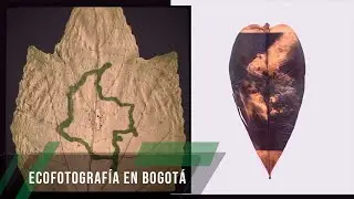 Ecofotograf&iacute;a en Bogot&aacute; - TvAgro por Juan Gonzalo Angel Restrepo