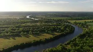 Grown Along the Cane River