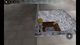How get in fish tank