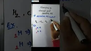 PAT (Chhattisgarh Pre. Agriculture Test) 2025 | Complete Paper Solution |  PAT आपके कितने सही हुए?