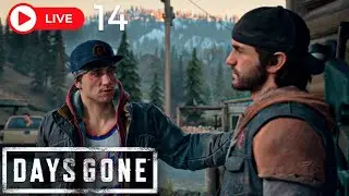 Days Gone - 14. Tentando Ajudar O Acampamento